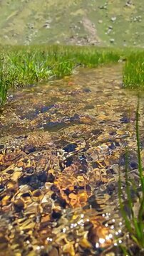 Low angle vertical footage of crystal clear water flowing smoothly over colorful pebbles and stones in a mountain stream under sunny sky - Pin Parvati Pass Trek, Himachal Pradesh