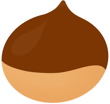 Single ripe chestnut vector illustration, autumn food and harvest concept