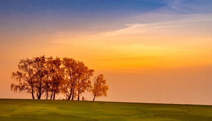 Naklejka premium Golden tree leaves grass landscape sunset background