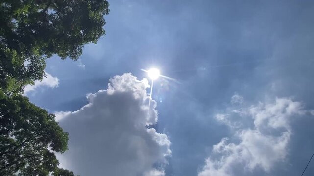 Sunlight shining through green tree canopy against blue sky and clouds