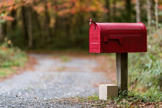 Red mailbox on wooden post beside gravel road with cardboard box at base in autumn forest setting