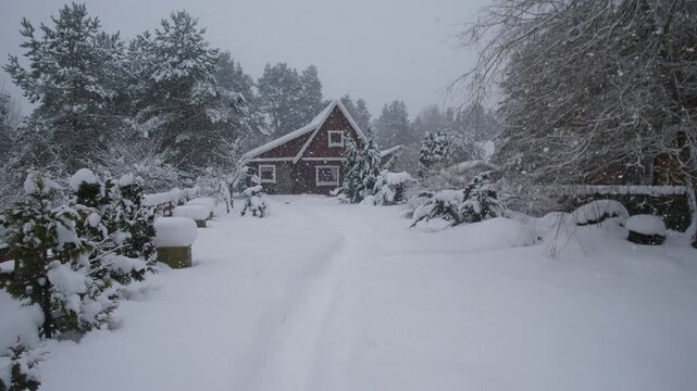 a serene winter village scene with snow-covered trees, wooden houses, and a concrete road, captured from a fixed perspective, showcasing the tranquil beauty of a snowy landscape under soft.