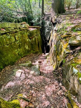 Narrow rocky ravine path with vibrant green moss on stone walls