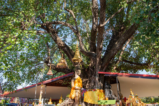 THAILAND MAHA SARAKHAM WAT PHUTTHA MONGKOL BUDDHA