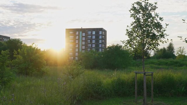 Modern residential apartment buildings in a green park area at sunset.