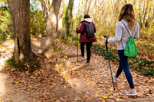 Two friends enjoying nordic walking in an autumn forest, promoting health and wellness