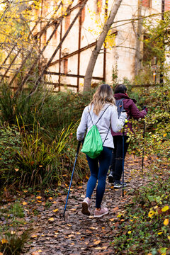 Women enjoying nordic walking activity on a nature path during autumn season
