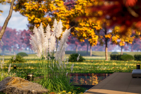 3d rendering of contemporary architectural luxury house exterior. Modern Scandinavian style family home with a white plaster walls, beautiful garden. Clear sunny autumn day with golden leaves anywhere