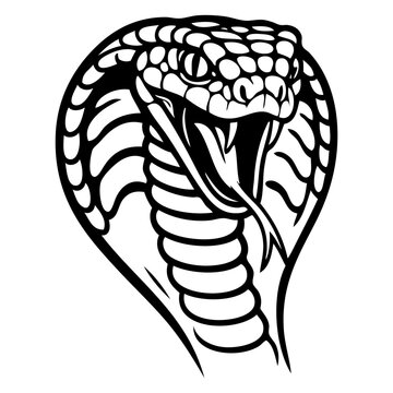 Icono con dibujo sencillo con l&iacute;neas de la cabeza de una serpiente cobra enojada ense&ntilde;ando los colmillos y la lengua b&iacute;fida