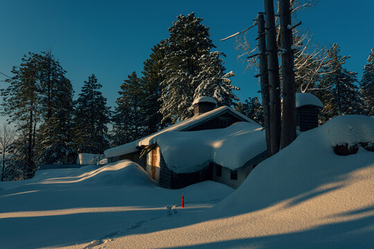 View of a house buried in deep snow surrounded by pine trees under a clear blue sky in Murree, Punjab, Pakistan.