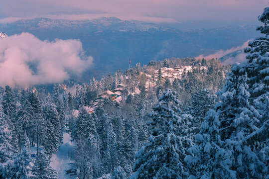 View of a snow-covered mountain landscape featuring pine trees blanketed in fresh snow, distant peaks, and a soft winter sky in Murree, Punjab, Pakistan.