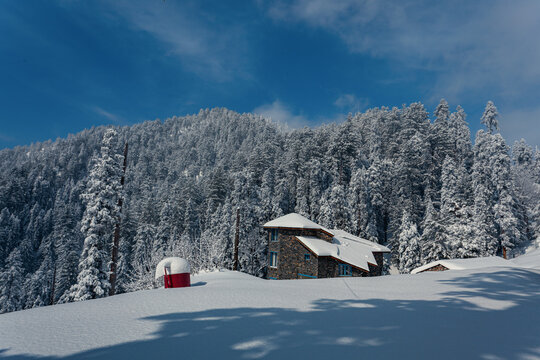 View of a stone house nestled in a snow-covered forest with pine trees under a clear blue sky in Murree, Punjab, Pakistan.
