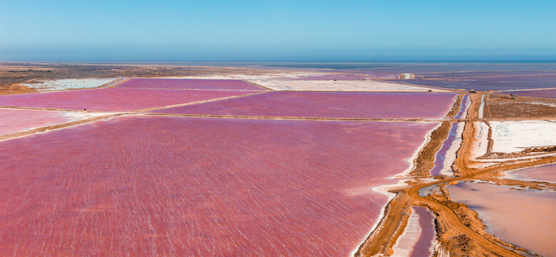 An aerial perspective shows the vibrant pink salt flats and water evaporation ponds at Walvis Bay in Namibia, separated by earth pathways.