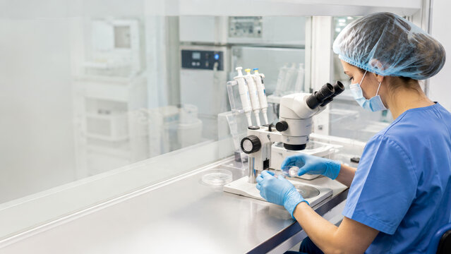 Embryologist examining IVF samples under microscope in fertility lab for reproductive medicine and embryo research care.
