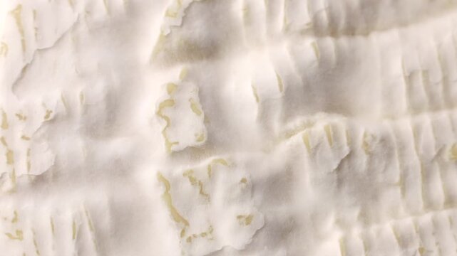 Creamy brie or camembert cheese wheel crust circle rotation close up