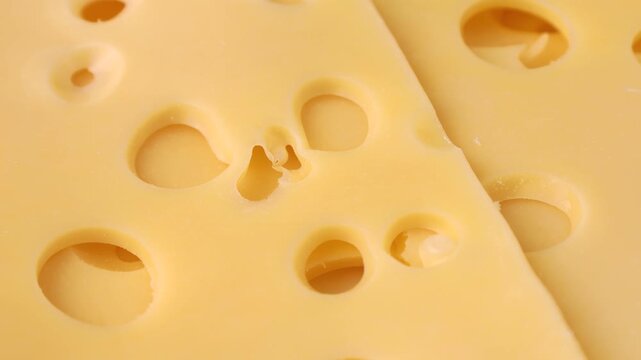 Bright yellow maasdam cheese slices with large holes circle rotation close up