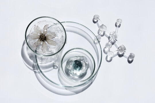 Natural botanical science research with molecular structure model