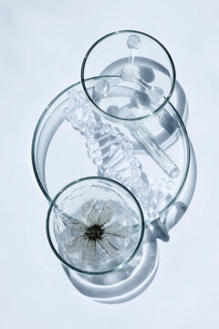 Genetic engineering concept with dna, flower and molecule
