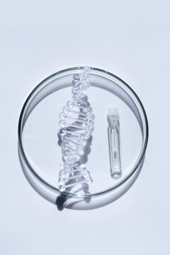 Dna helix model and vial on petri dish