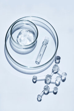Science concept with petri dish, vial, molecule model
