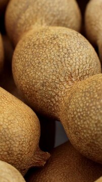 Brown tamarind fruit pods circle rotation close up, vertical video