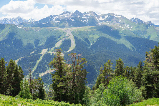 Flowering clearing on top of the Caucasus Mountains . Walking and hiking in the mountains Arkhyz. Beautiful view of the mountains in summer in a quality photo