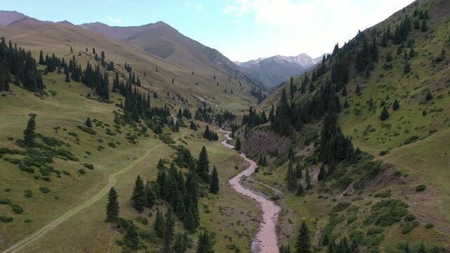 Winding Tekes river flowing through a deep green mountain valley with pine trees under a clear sky. Commercial aerial landscape footage for travel destinations, mountain exploration, and environmental