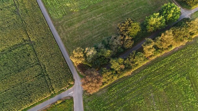 Feldweg