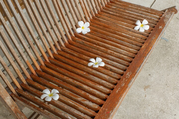Wooden table and chair and frangipani flowers in restaurant, outdoor cafe scandinavian style,Rattan detailed craftsmanship and pattern,summer beach concept. © wanatithan