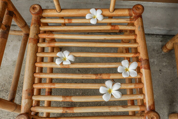Top view of  frangipani flowers on rattan or bamboo background,detailed craftsmanship and pattern,wooden chair and table,scandinavian style. © wanatithan