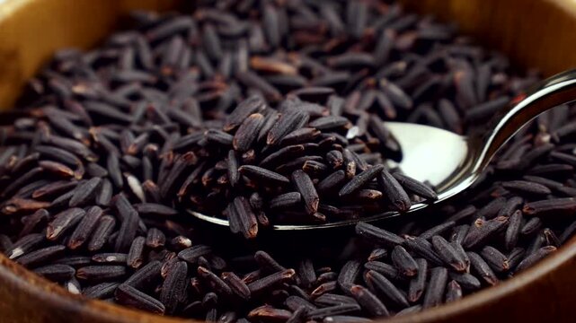 Black or Purple Rice or Riceberry taking with a spoon close up
