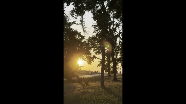 Vertical summer sunset in a peaceful park, warm golden sunlight filtering through trees and creating a serene cinematic atmosphere