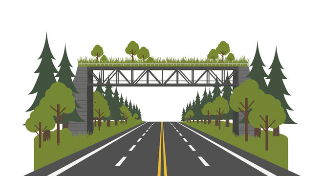 Wildlife Crossing Ecoduct over Forest Highway Illustration for Environmental Conservation