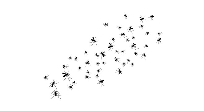 Swarm of mosquitoes flying in a cluster, black insect silhouettes on white background, pest control vector illustration