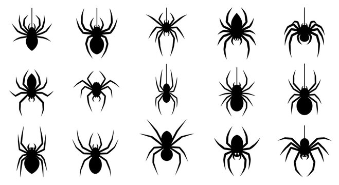 Halloween spider silhouettes set, 15 black arachnid vector icons, spooky hanging spider collection for party decor and graphic design