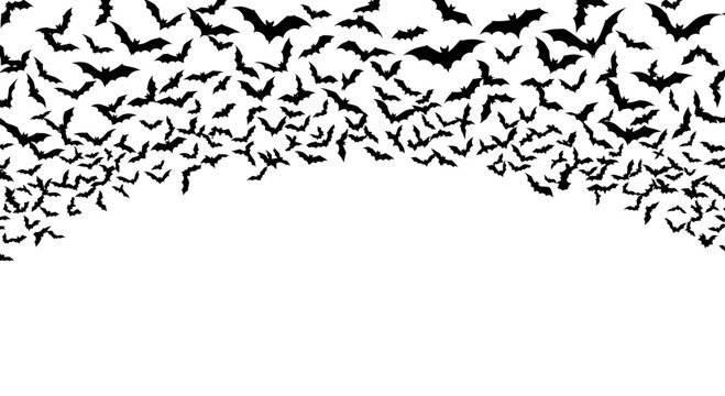 Halloween bat swarm vector illustration, flying black bats silhouette border, spooky nocturnal animal background for party decor