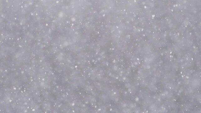 Blizzard - Heavy Snow Storm detail in SLOW MOTION HD VIDEO. Wild falling snowflakes in the wind. Low depth of field and blurred trees in the background. Close-up. Quarter speed.