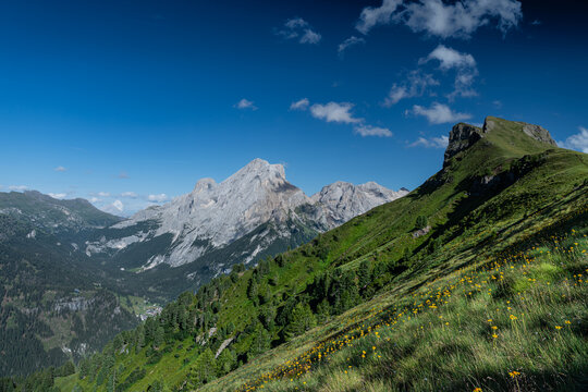 View of Crepa Neigra mountain peak rising above lush green alpine slopes dotted with yellow wildflowers under a clear blue sky in Canazei, Trentino-Alto Adige, Italy.