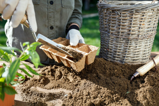 Close-up of person doing garden maintenance and planting &ndash; gardening work concept. Gardening, landscaping, sustainability, healthy lifestyle, seasonal outdoor work concepts.