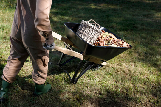 Close-up of person doing garden maintenance and planting &ndash; gardening work concept. Gardening, landscaping, sustainability, healthy lifestyle, seasonal outdoor work concepts.