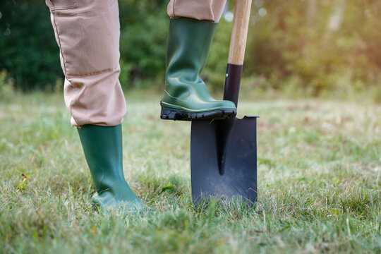 Close-up of person doing garden maintenance and planting &ndash; gardening work concept. Gardening, landscaping, sustainability, healthy lifestyle, seasonal outdoor work concepts.