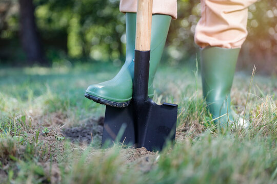 Close-up of person doing garden maintenance and planting &ndash; gardening work concept. Gardening, landscaping, sustainability, healthy lifestyle, seasonal outdoor work concepts.