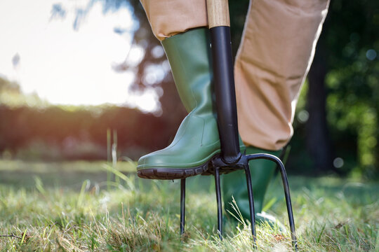 Close-up of person doing garden maintenance and planting &ndash; gardening work concept. Gardening, landscaping, sustainability, healthy lifestyle, seasonal outdoor work concepts.
