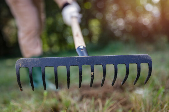 Close-up of person doing garden maintenance and planting &ndash; gardening work concept. Gardening, landscaping, sustainability, healthy lifestyle, seasonal outdoor work concepts.