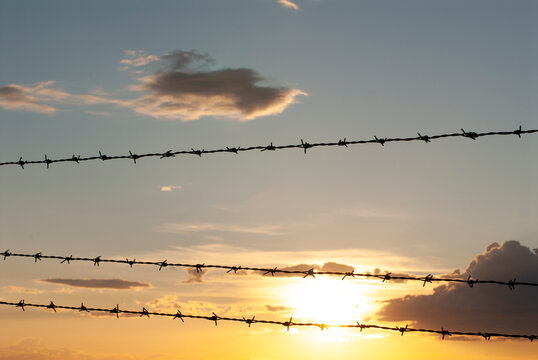 Filo spinato al tramonto con cielo dorato