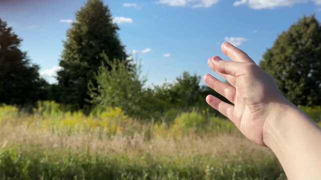 A woman s hand peeks out the car window toward a strip of forest on a sunny, clear summer day. A shot taken while driving down the road. Travel, trips, looking forward to vacation, and travel packages