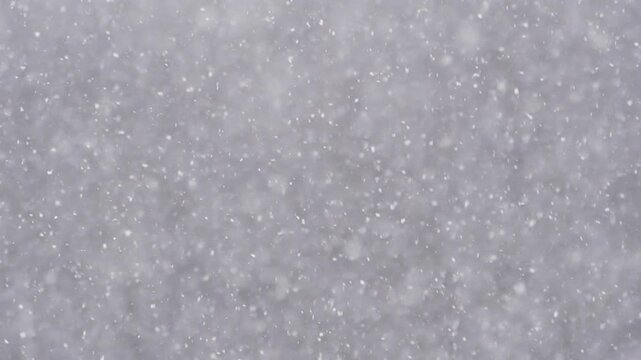 Blizzard - Heavy Snow Storm detail in SLOW MOTION HD VIDEO. Wild falling snowflakes in the wind. Low depth of field and blurred trees in the background. Close-up. Quarter speed.