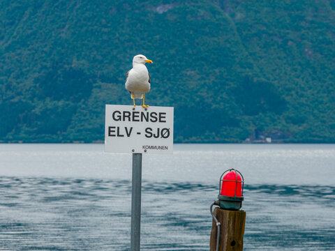 View of a seagull perched on a sign marking a river and sea border with a red navigation beacon and mountains in the background in Sylte, More og Romsdal, Norway.