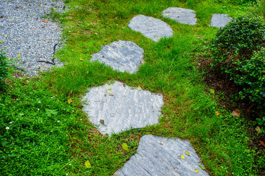 Garden landscape design with pathway in garden and footpath in picturesque summer park and staircase in backyard,Paving stones on floor in park,space for text.