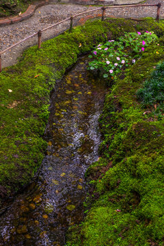 Tranquil river scene with mossy rocks and morning mist in forest,dreamlike atmosphere in the woods,waterfall in nature rainforest concept.